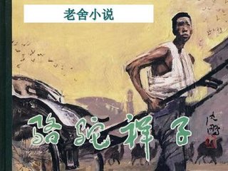猫咪永久在线观看网站